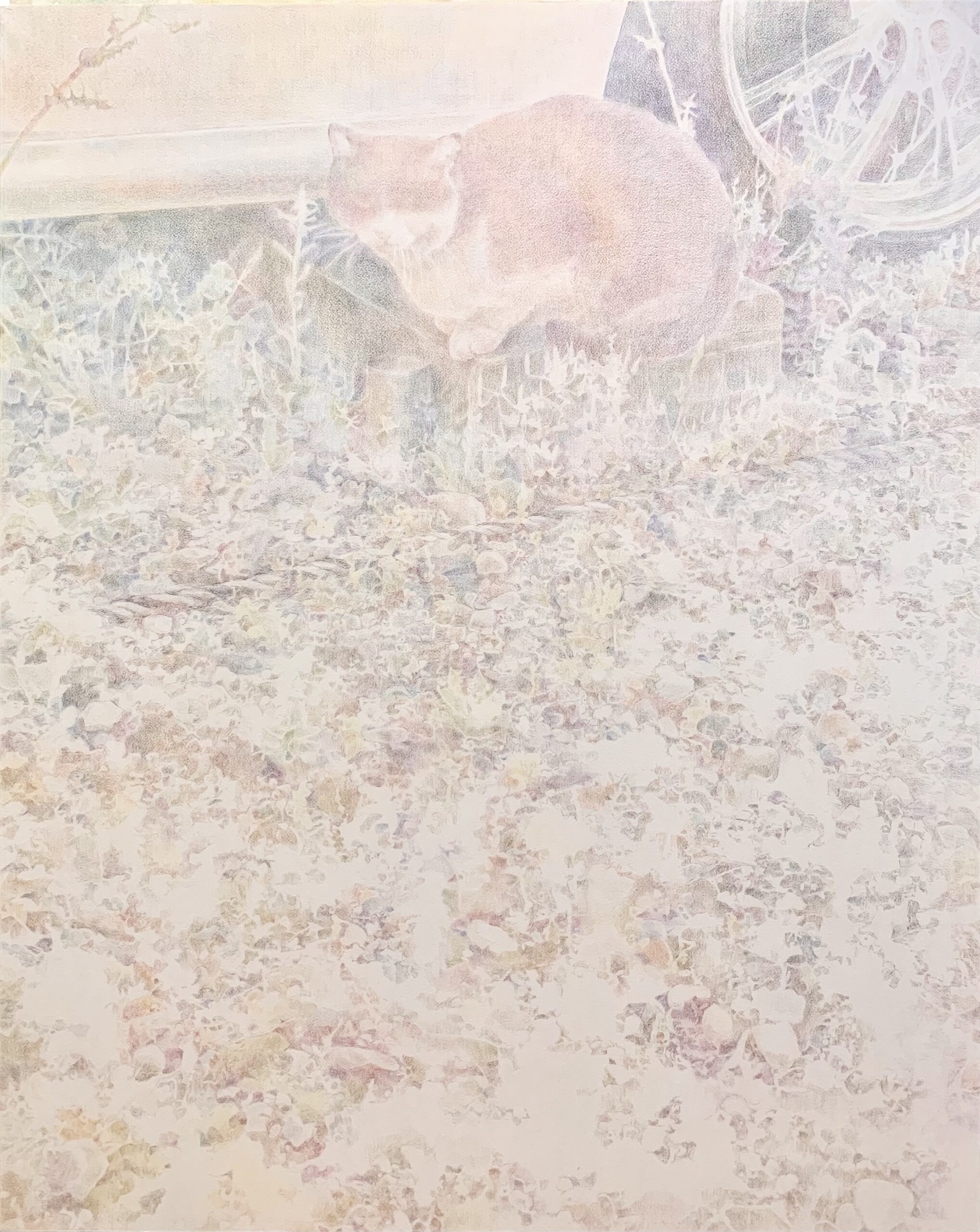 佐藤萌々子